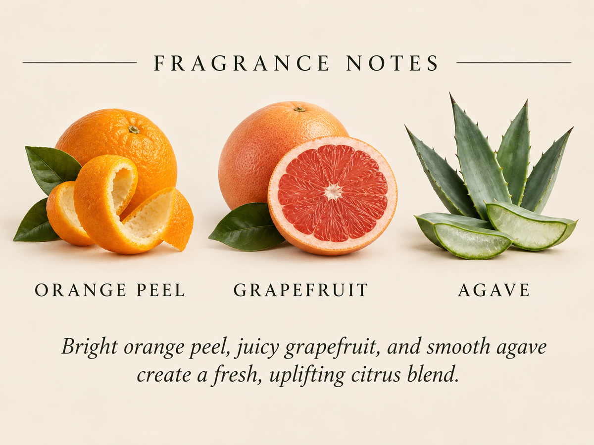 Island Citrus | Orange Peel, Grapefruit and Agave | 10 oz Concrete Soy Candle
